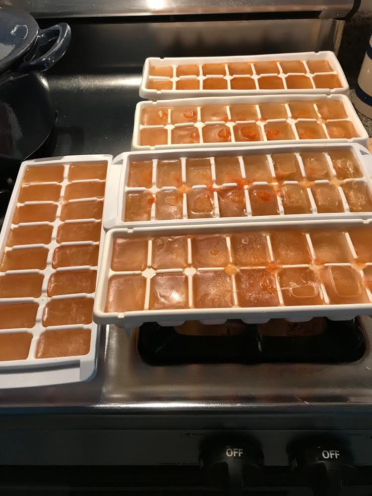 A photo of jewelweed reduction inside ice cube trays.